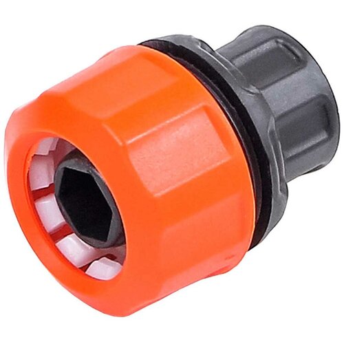 ���� ����� �������� ��� 3/4