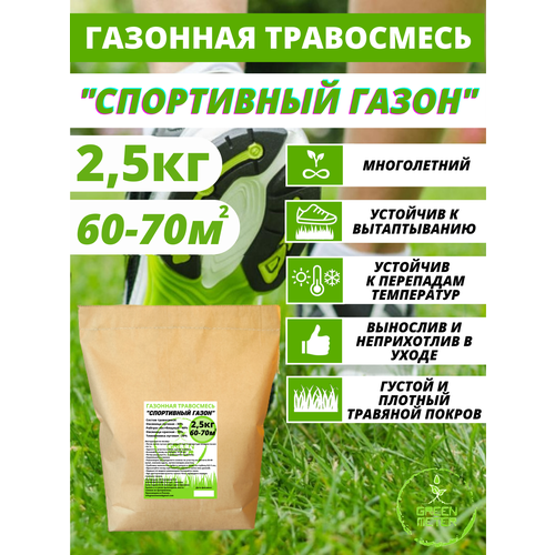 ���� �������� ����� ������, ����� ������ 2,5 ��, ������ �� 1240 ���