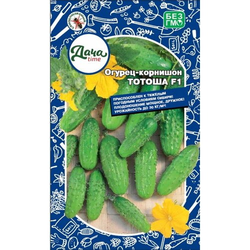 ���� ������ ������ ������ F1 �������� 10�� ������������������ ������ (����time), ������ �� 53 ���