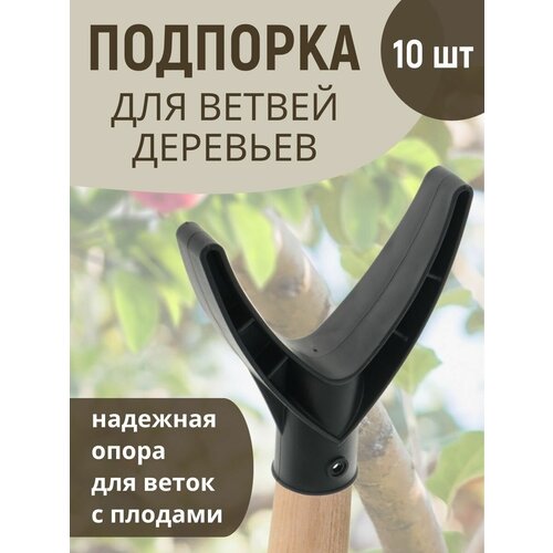 ���� ����������� ���������� �������� ��� �������� ������, 10 ��, ������ �� 1041 ���