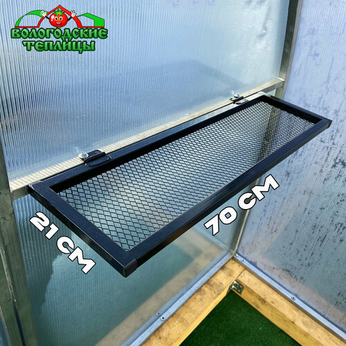 ���� ����� ��� ������� �������� 