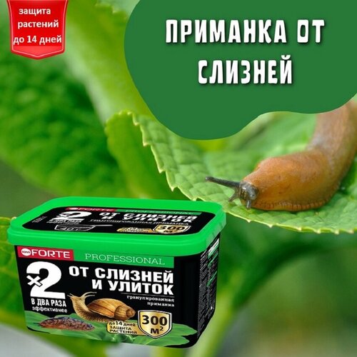 ���� ����� ������� �� ������� � ������ Bona Forte, 500 ��, ������ �� 612 ���