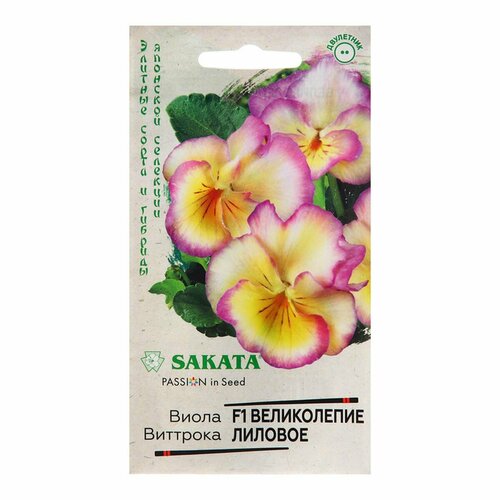 ���� ������ ����� 