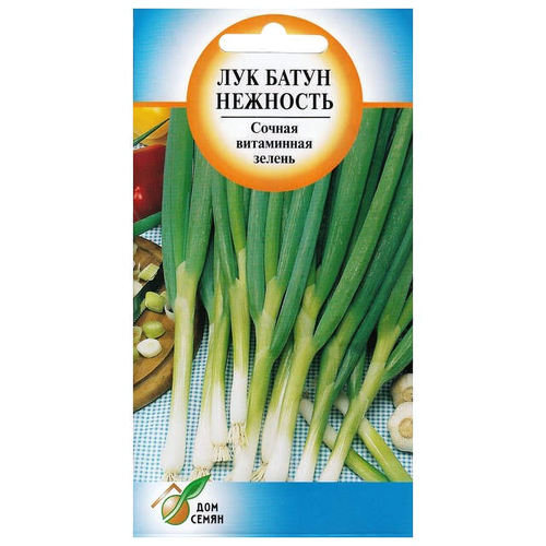 ���� ������ ��� ����� �������� 200�� ��� ����, ����, �������, ������� / ������� � �������� ��������, ������ �� 299 ���