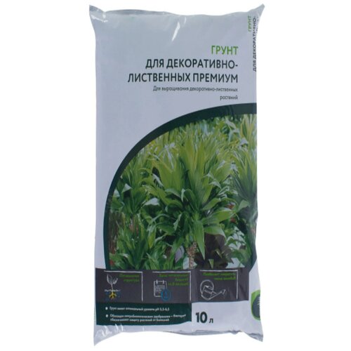 ���� ����� Geolia ��� �����������-���������� 10 �, ������ �� 988 ���