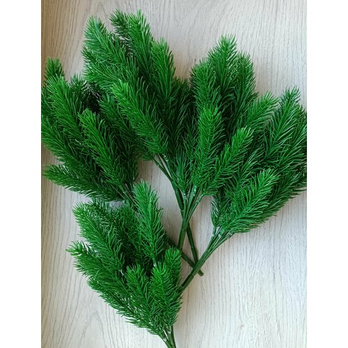 ���� ������������� ����� ��� ��� ��������� 5 ��, 36 ��. ���������� �����, ������ �� 853 ���