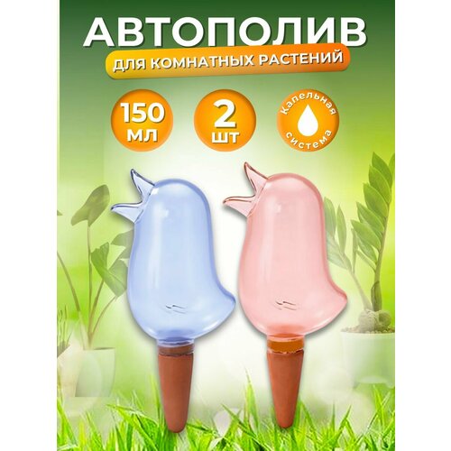 ���� ������� ������ ��������� ��������� ��������, ��������� �����, ������, ��������� �����, ������ �� 610 ���