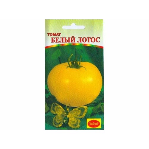 ���� ������ ����� ����� (����� �����) 10�� ����� ������ (�����), ������ �� 51 ���