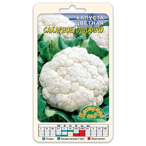 ���� ������ �������� ��� 