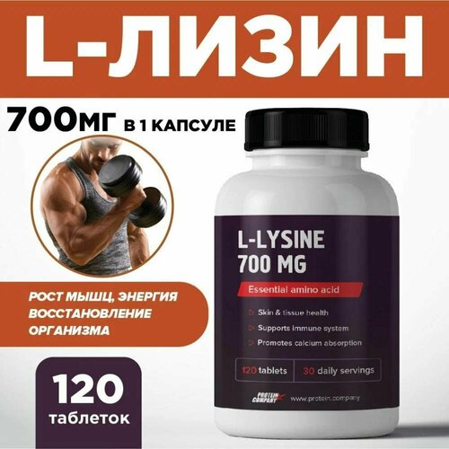   700 .    .    , ,  .  . l-lysine, 120 ,  ,   782 