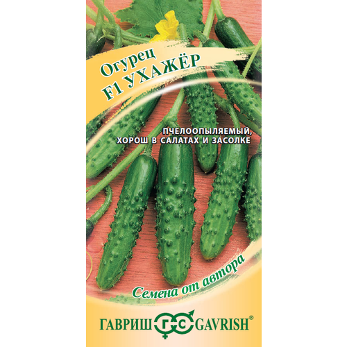 ���� ������ ������ ������ F1 10�� �� (������) �����, ������ �� 61 ���