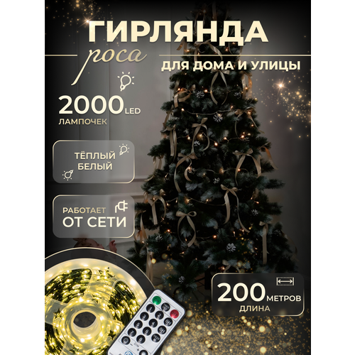 ���� �������� 