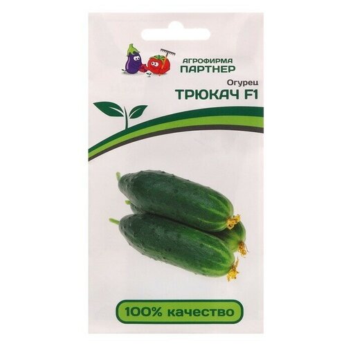 ���� ������ ������ ������ F1, 5 ����� 1 ��������, ������ �� 250 ���