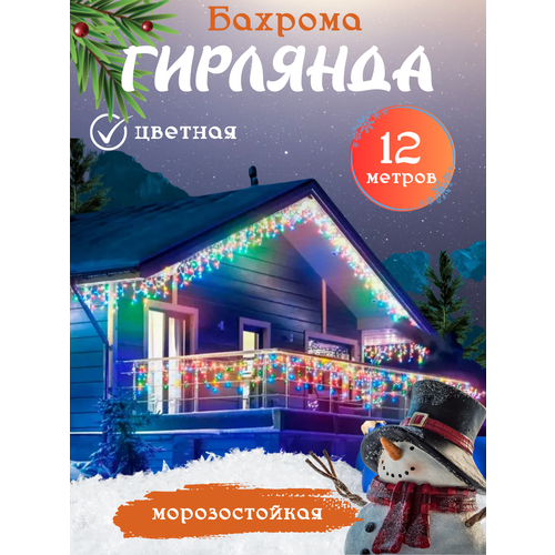 ���� �������� ������� �������, ������������ �������� �������, ��������������� ������� �� ����� ���, 12 ������, �������, ������ �� 1200 ���