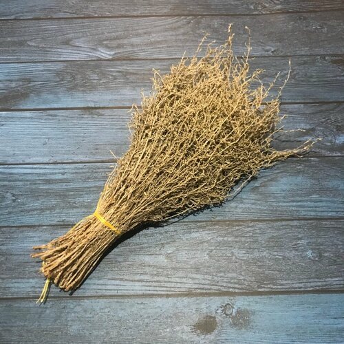 ���� ����� ��� ���� ������ ��������, �����������, ������ �������� ����, ������ �� 342 ���