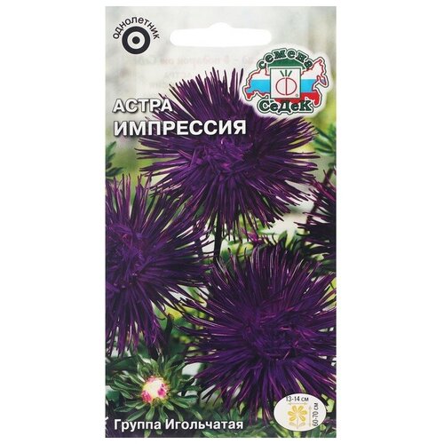 ���� ������ ������ ������ ����� ��������� (���������, ����������, �����-����������) . ����, 0,2 �, ������ �� 275 ���