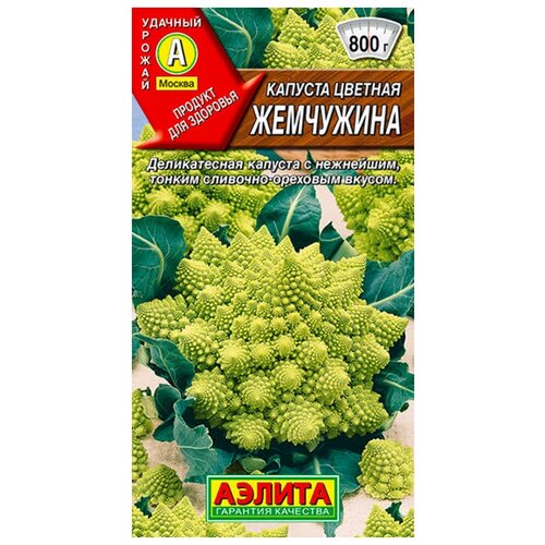 ���� ������. ������� ������� 