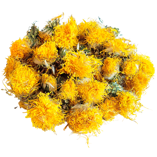 ���� ���������, ����� 20�., ������ �� 440 ���