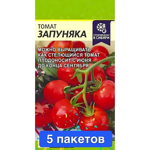 ���� ������ ������ ������ ����� 