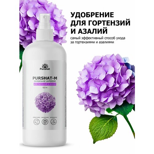 ���� ��������� ��� ���������, ������������� � ������ ������ (Purshat) ����� 500 ��, ������ �� 604 ���