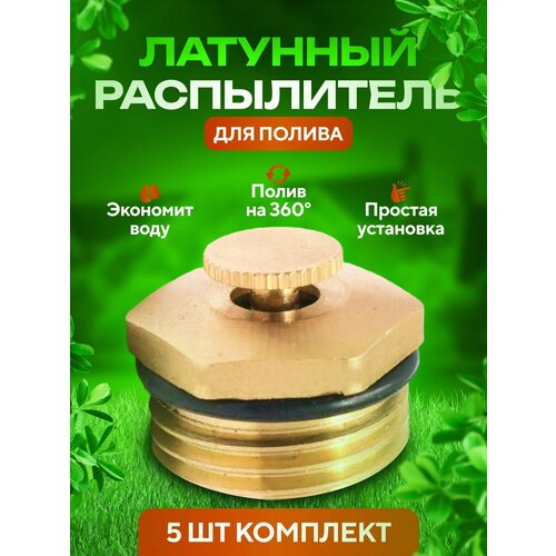 ���� ����������� �������� 5 ��., ������ �� 665 ���