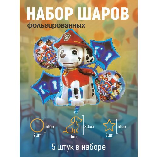 ���� ����� ��������� ����� �������������� 5 ���� 