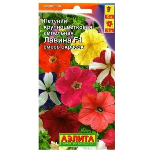 ���� ������� ��������������� ��������� ������ F1 ( 3 �������� ) , ����� �������, ������ �� 549 ���