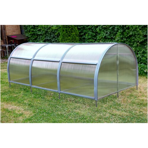 ���� ������ ��� 