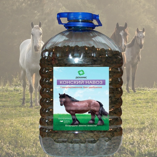 ���� ����� ������� ����� � �������� � ���������� � �������������� �������, 5�., ������ �� 650 ���