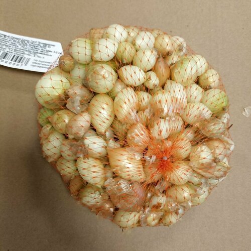 ���� ��� - ����� ������ ������ ����� ���� (������) 100�� �������, ������ �� 450 ���