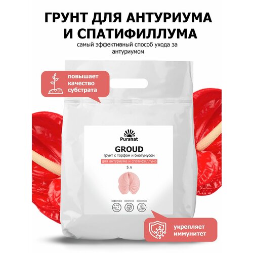 ���� ����� ��� ��������: ����������, �������������, �������, �������������, ��������, ����������, ������� (Purshat) 5 �, ������ �� 830 ���