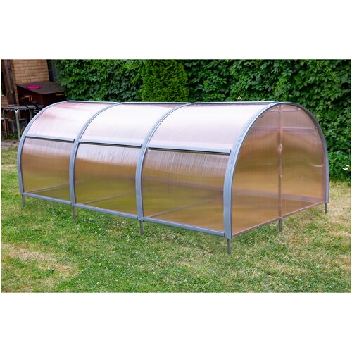 ���� ������ ��� 