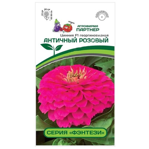 ���� ������ ������ �������������� 