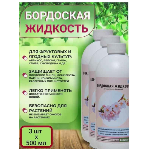 ���� ��������� ��������, �������� ��� ������ ������� �� ��������,3��, ������ �� 1650 ���