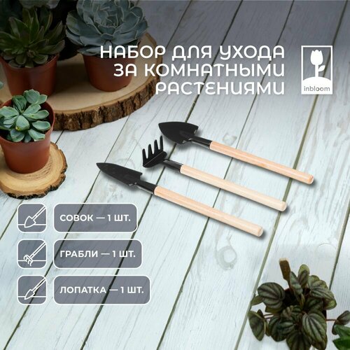 ���� ����� ��� ����� �� ���������� ���������� INBLOOM, ������ �� 134 ���