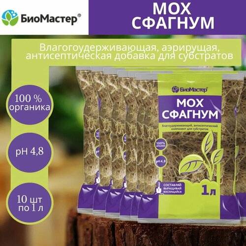 ���� �������� ��� �������,10 ������� �� 1 �, ������ �� 950 ���