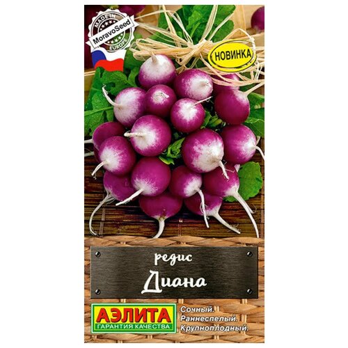 ���� ������. ����� 