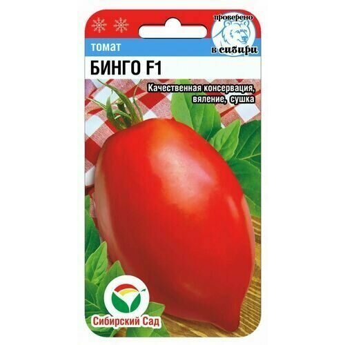 ���� ������ ����� ����� F1 15�� ����� ������ (��������� ���), ������ �� 60 ���