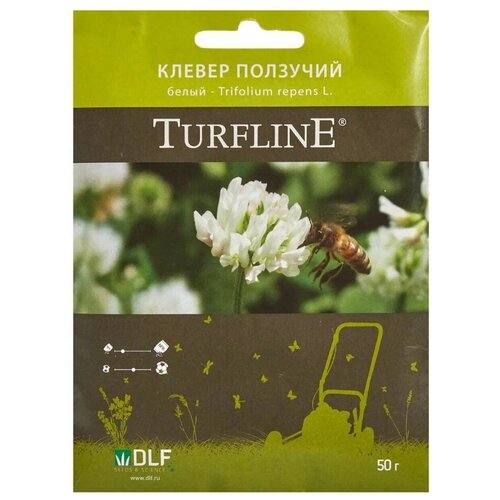       , TURFLINE, 0,05 ,   229 