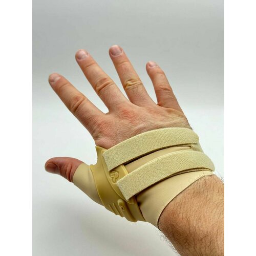 ���� ����� �� ������� ����� ����, ������, ������ �� 441 ���