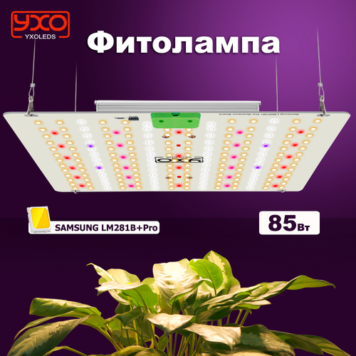  Quantum Board 85  / Samsung LM281B+Pro /    / ,   4999 