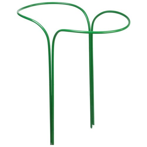 ���� ������������� �����, �������������� ,