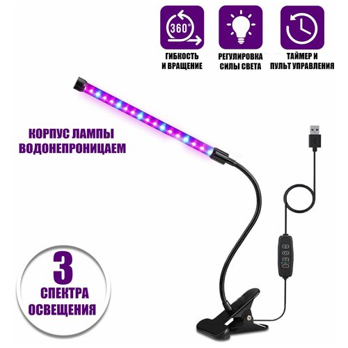 ���� ��������� ������������ ��� �������� � ������������ �������, 1 ������, ������ �� 1196 ���