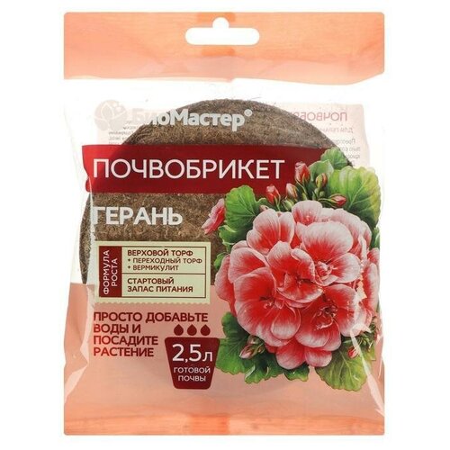 ���� ����������� 