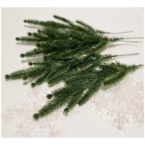 ���� ����� ������ �� ������������� ����� 10 �� . �������� �������. ���� ������. ������ 31 ��., ������ �� 650 ���