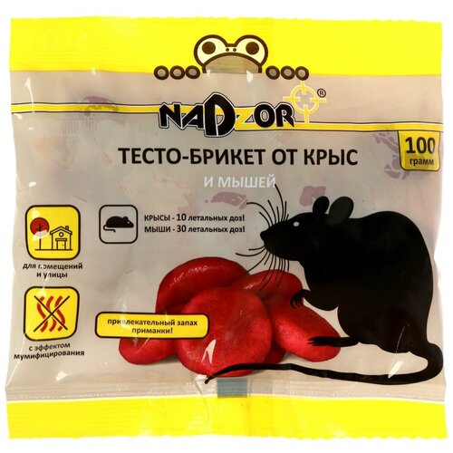 ���� �����-������ �� ���� � ����� NADZOR, 100 ��, ������ �� 208 ���