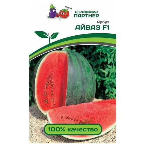 ���� ������ ����� ����� F1 (5 �����) - �������, ������ �� 430 ���