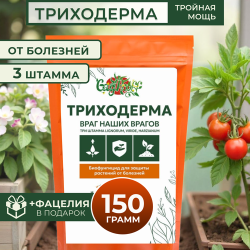 ���� ���������� 3 ������, 150�, ������ �� 325 ���