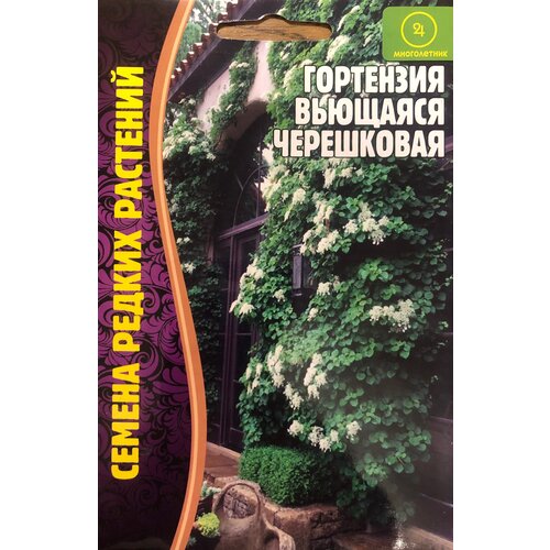 ���� ������ ��������� �������� ���������� (20 �����), ������ �� 260 ���