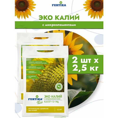 ���� ��������� ������� ��� ����� ������������ �����-����, 2 �� �� 2,5 ��, ������ �� 1268 ���